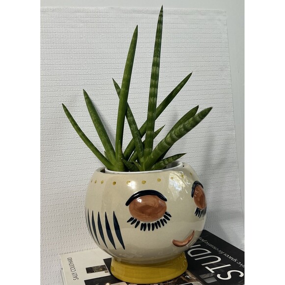 Big Bulgy Eye Face Ceramic Pedestal Planter Flower Pot Multi HANDMADE - Picture 11 of 17
